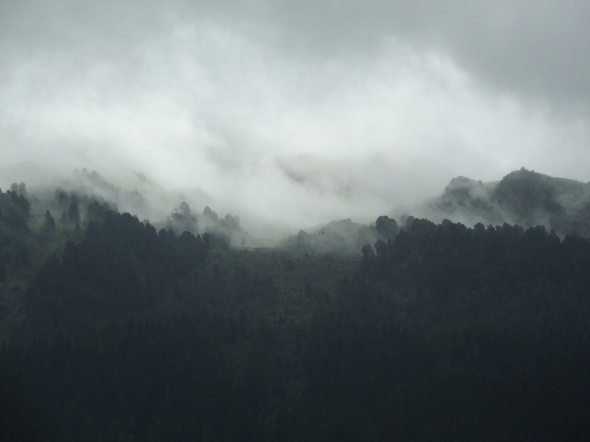 Fog over a dark mountain forest
